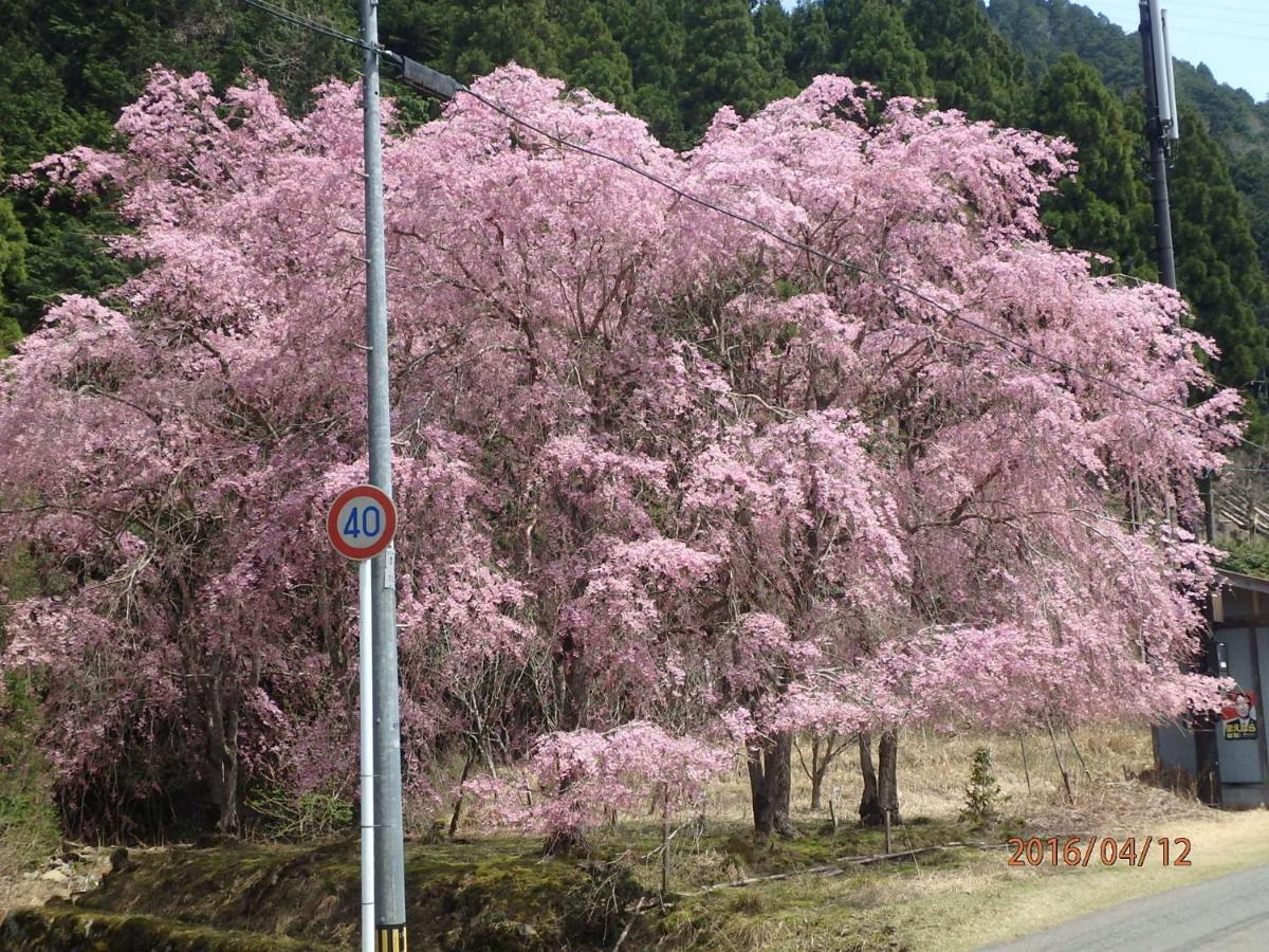 京の宿 西大路 Familie Kioto Zewnętrze zdjęcie